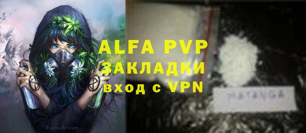 амф Бородино