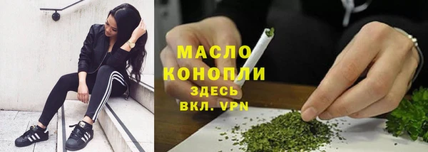 амф Бородино