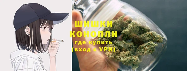 амф Бородино