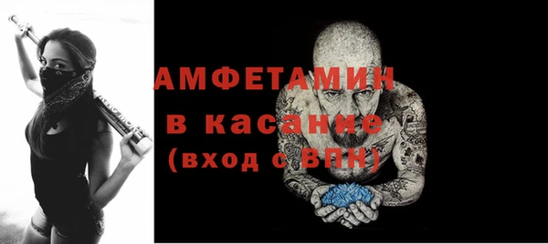 амф Бородино